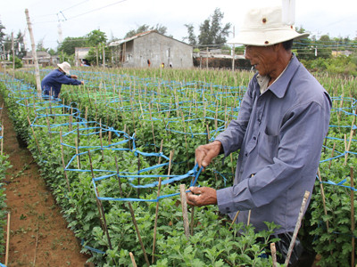 Người dân xã Đức Lợi vẫn lao động bình thường