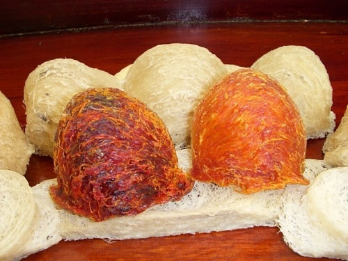 Tổ yến được bán với giá 1.000-1.500 USD/kg bán buôn và khoảng 2.500 USD/kg bán lẻ