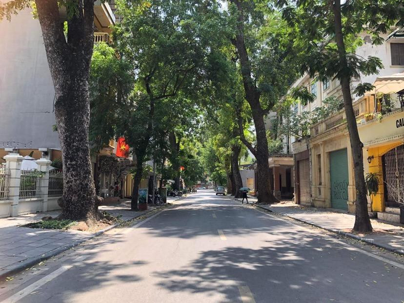 Trong cái nắng hanh đầu hè, phố Hà Nội yên bình dưới những tán cây xanh mát. Hiếm hoi, phải quan sát 1 lúc lâu, phố mới có người qua lại