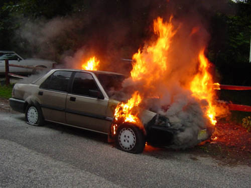 Ảnh: minh họa - Internet Ảnh: minh họa - Internet