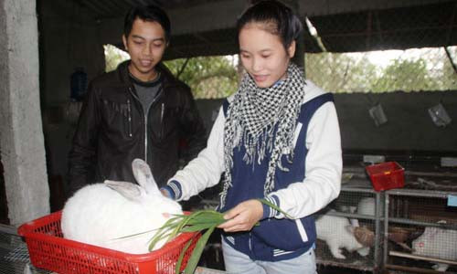  Hiếu và Lê chăm sóc thỏ giống tại trang trại của mình - Ảnh: Hoàng Sơn 