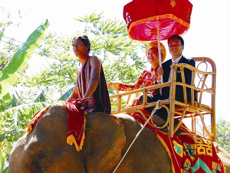 Gái huyện Lăk trai Bảo Lộc rất đẹp đôi trên lưng voi Gái huyện Lăk trai Bảo Lộc rất đẹp đôi trên lưng voi