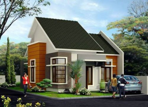 Nhà 'cấp 4'... kiểu biệt thự với 200 triệu đồng ảnh 1