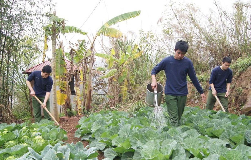 Chiến sĩ chốt 424 chăm sóc rau tăng gia. Ảnh: N.M