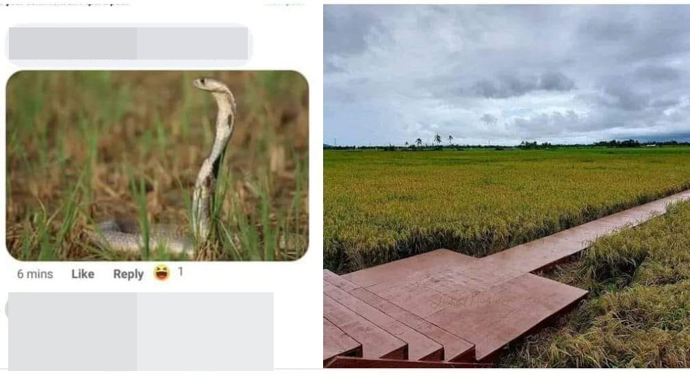 Địa điểm phần thi chụp ảnh với trang phục dân tộc của Hoa hậu Hoàn vũ Philippines gây tranh cãi.