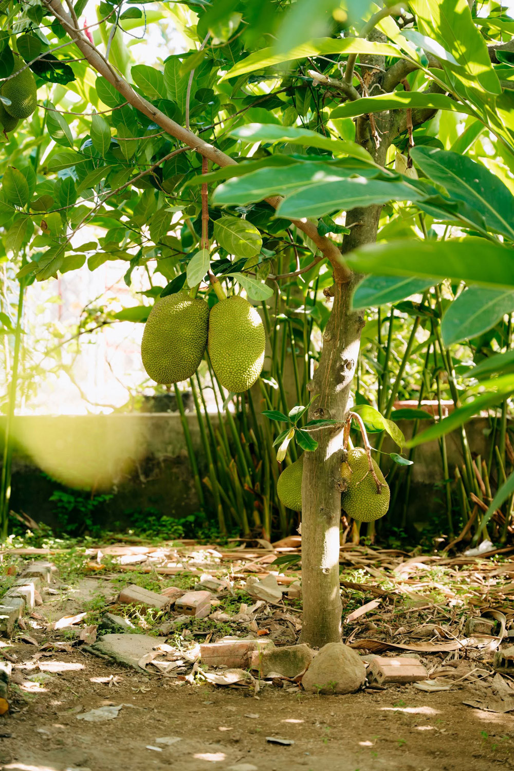 Những góc đáng yêu khác của khu vườn.