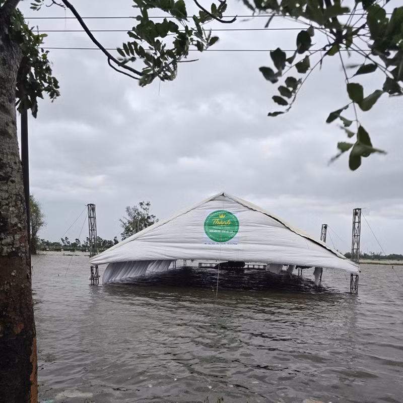 Rạp cưới ngập lưng chừng sau trận mưa lớn. Rạp cưới ngập lưng chừng sau trận mưa lớn.