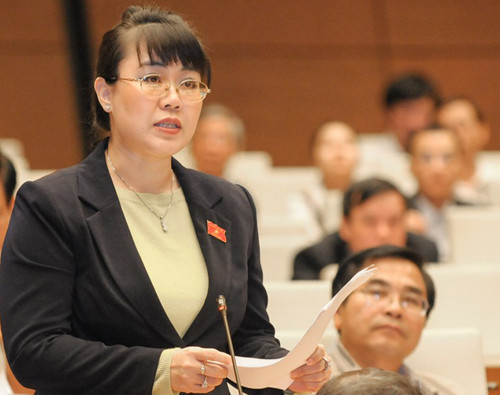 Nhiều trường hợp thôi nhiệm vụ, mất quyền ĐBQH khóa 14 ảnh 5