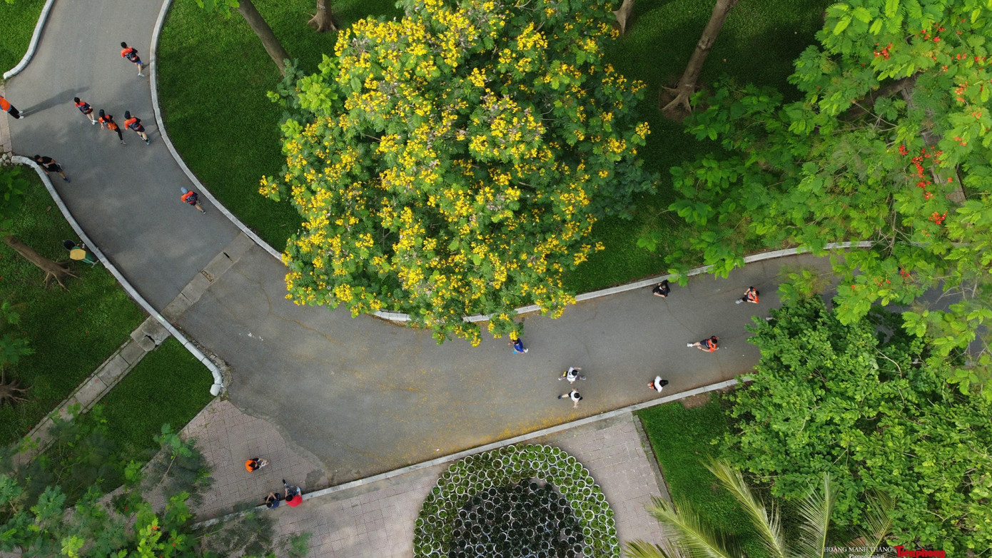 Giải chạy diễn ra với mục đích phát huy tinh thần thể dục thể thao, nâng cao sức khỏe cho các phóng viên, nhà báo, cũng như để lan tỏa năng lượng tích cực.