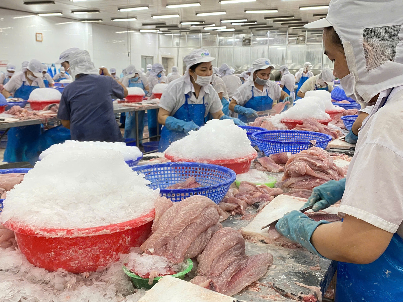 Xuất khẩu thủy sản đang hồi phục ấn tượng. Xuất khẩu thủy sản đang hồi phục ấn tượng.