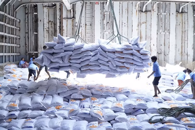 Trong 10 tháng của năm nay, kim ngạch xuất khẩu gạo Việt Nam đạt 4,86 tỷ USD.