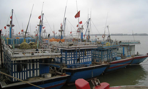 Tàu cá Thanh Hóa neo đậu tránh bão. Ảnh: VNE