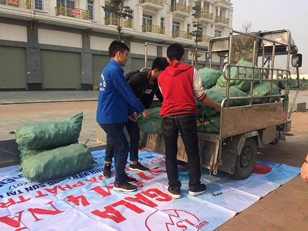 Sau su hào, củ cải đến lượt khoai tây rớt giá thảm còn 3.000 đ/kg ảnh 2