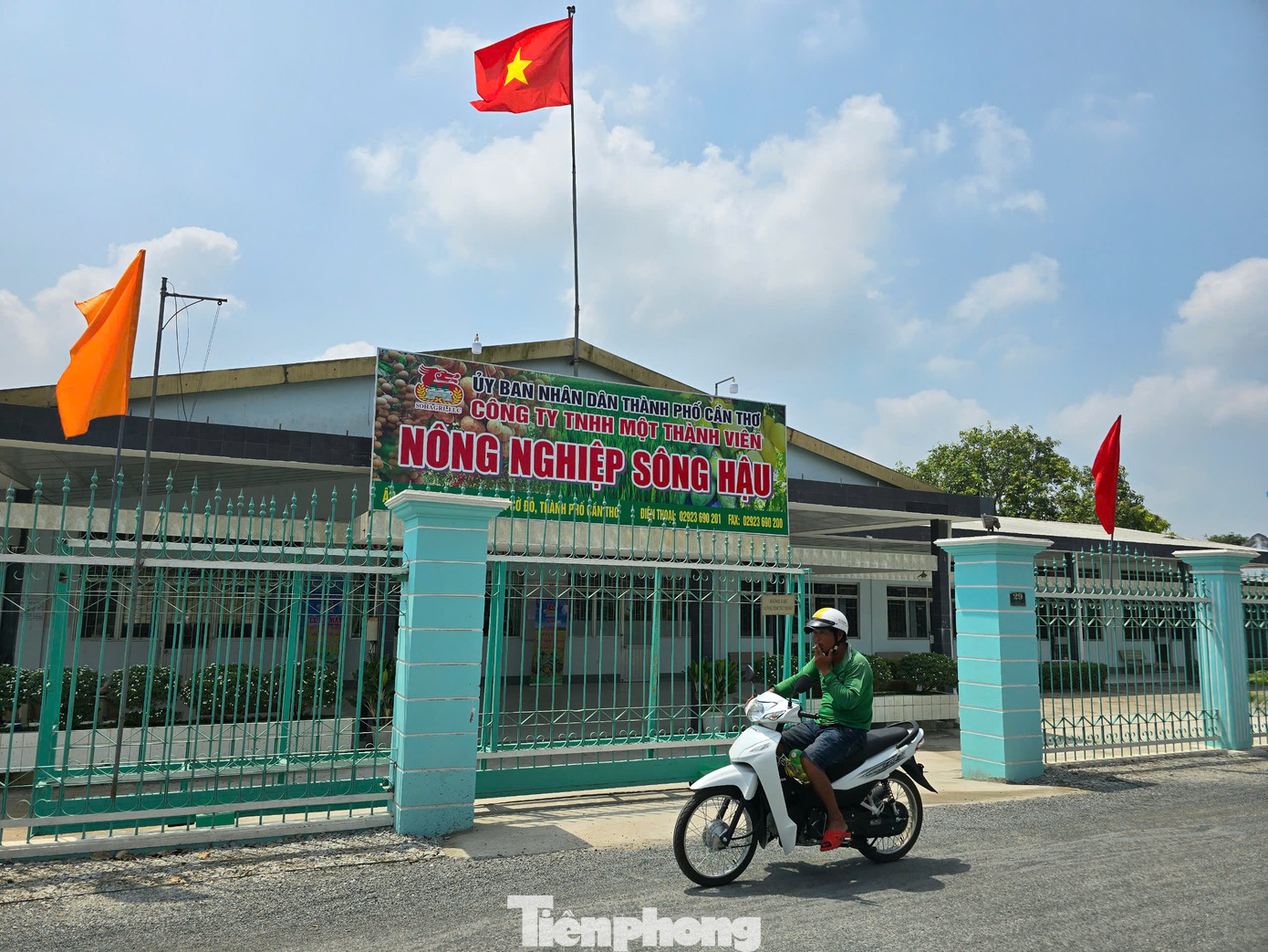 Nông trường Sông Hậu chính thức được đổi thành pháp nhân công ty TNHH một thành viên, mở ra cơ hội phát triển mới sau nhiều năm vướng mắc, đình trệ.