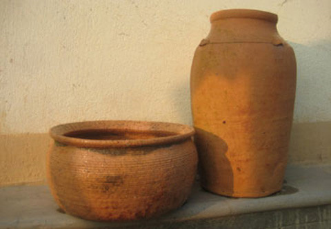 Một số khác có màu nhạt óng