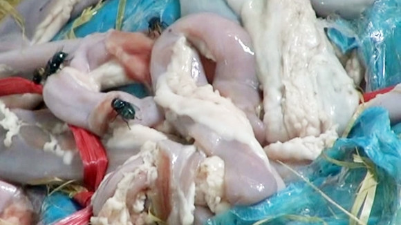 Nội tạng động vật được ngâm, tẩm trong hóa chất “lạ”