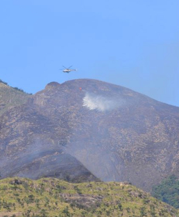 Cháy rừng khủng khiếp ở Ấn Độ, 9 người thiệt mạng ảnh 1