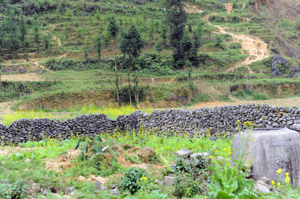 Người dân vùng cao sống quyện cùng với đá, những ngôi nhà được dựng lên với bốn bề là đá. Tất cả cuộc sống của con người vùng cao đều gắn liền với đá. Đá dùng để làm nhà Làm hàng rào Hay đá đan xen với những luống hoa cải vàng tạo nên một bức tranh thật ấn tượng Người dân vùng cao trồng trọt trên những khe đá, trong những hốc đất nhỏ. Và thu hoạch cũng ngay tại vườn nhà Những ngọn núi đá trùng trùng điệp điệp, những cánh đồng đá trải dài bất tận, tất cả cứ tràn vào nhau, hoà quyện vào nhau thành một bức tranh tuyệt đẹp nơi cực bắc Tổ quốc. Cao nguyên đá Đồng Văn dù có tới và trở lại vẫn thấy là lạ, vì nó đẹp, cái đẹp hoang dại, từ con người đến cảnh vật. Cái đẹp mà khi trải nghiệm rồi, vẫn có chút gì đó rất thú vị.