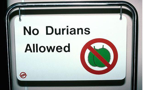 Sầu riêng, món ngon của nhiều người lại là nỗi sợ của rất nhiều người