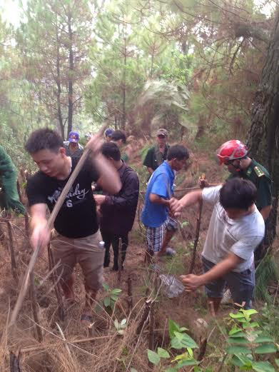 Nghệ An: Gần 10 héc ta rừng thông bị lửa thiêu rụi ảnh 3