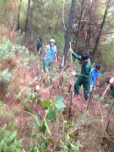 Nghệ An: Gần 10 héc ta rừng thông bị lửa thiêu rụi ảnh 4