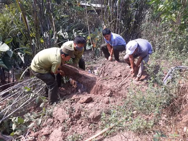 'Khai quật' 3 hầm gỗ mun quý chôn trong lõi VQG Phong Nha - Kẻ Bàng ảnh 7