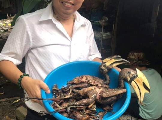 Xác minh thông tin giám đốc doanh nghiệp 'thịt' chim quý hiếm ảnh 1