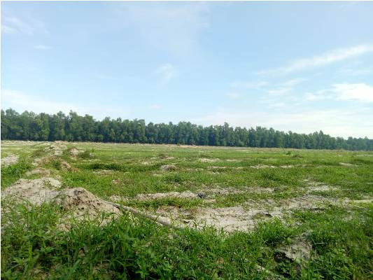 Thanh tra vụ Cty phát triển Địa ốc Bình Dương bán đất nền trái luật ảnh 2