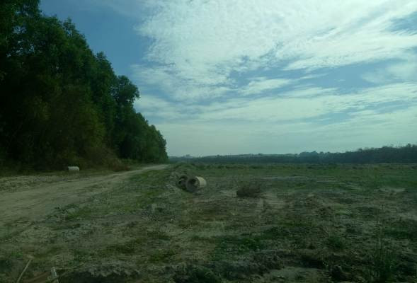 Thanh tra vụ Cty phát triển Địa ốc Bình Dương bán đất nền trái luật ảnh 5