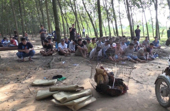Đánh bạc trong vườn cao su, hàng chục 'con bạc' bị bắt giữ ảnh 1