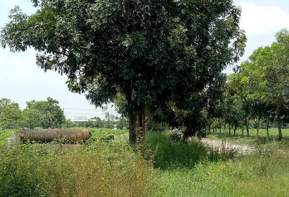 Bình Dương phê duyệt đầu tư khu nhà ở 'khủng' ngoài quy hoạch ảnh 6