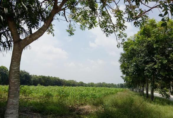 Bình Dương phê duyệt đầu tư khu nhà ở 'khủng' ngoài quy hoạch ảnh 4