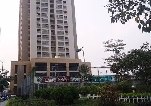 Gạch ốp tường chung cư rơi làm bé trai phải nhập viện ảnh 4