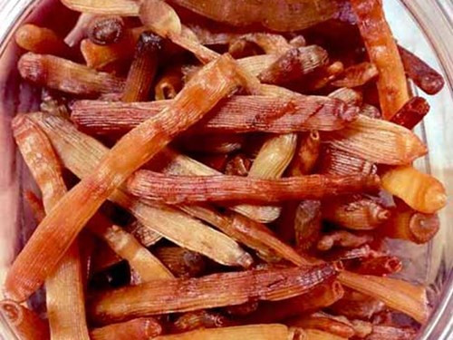 Sá sùng - 'Mì chính' đắt đỏ của giới nhà giàu ảnh 1