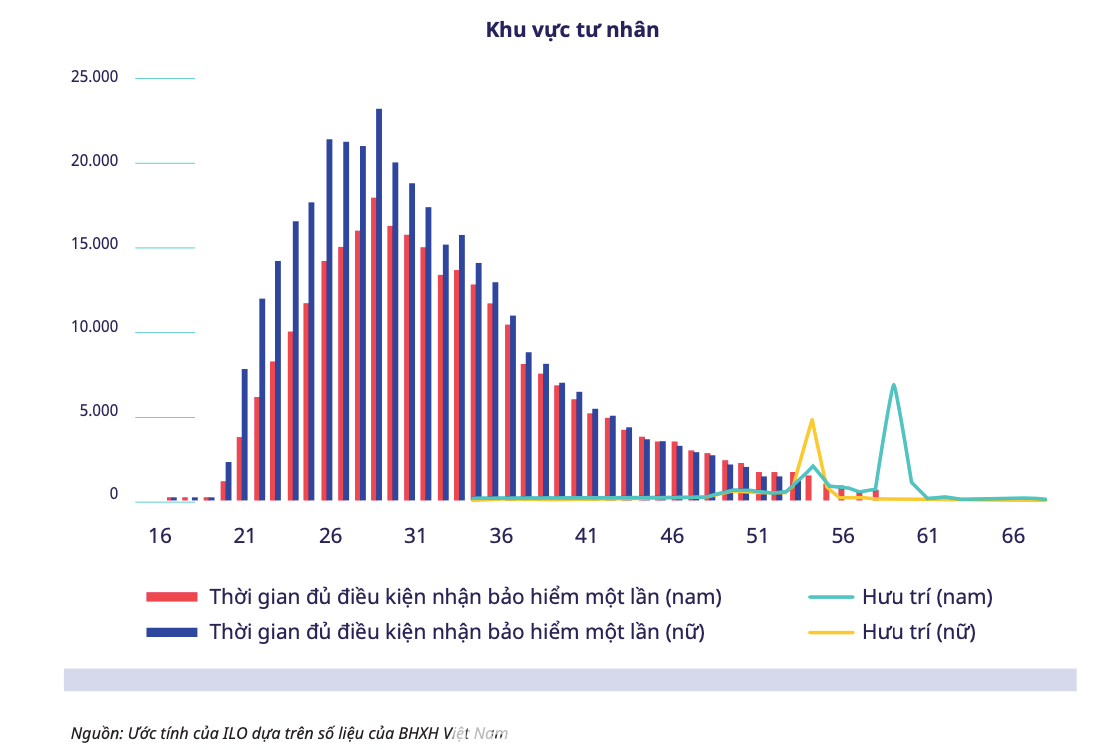 Tỷ lệ rút BHXH một lần và lương hưu giữa nam và nữ năm 2019 tại Việt Nam (Ảnh: ILO, WB).