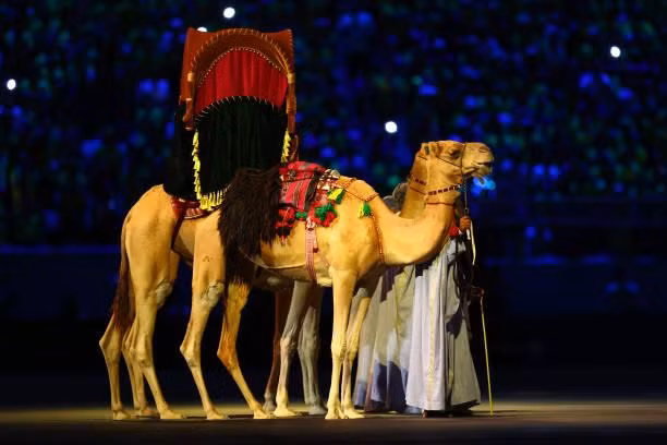 Khai mạc World Cup 2022: Qatar chào thế giới! ảnh 22