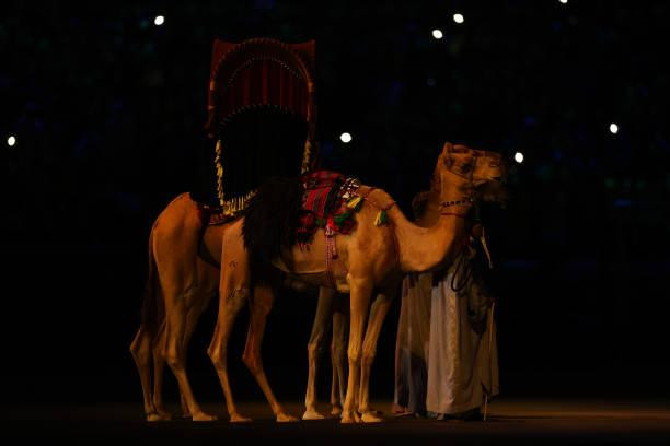 Khai mạc World Cup 2022: Qatar chào thế giới! ảnh 23