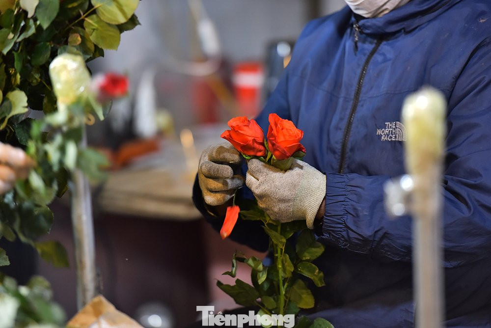 Hoa hồng là loại hoa không thể thiếu và được mua rất nhiều trong những dịp này. Giá của hồng đỏ khoảng 15.000 đồng/bông.