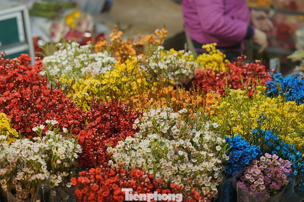 Các sạp hoa nhiều màu sắc lung linh rực rỡ trang trí đẹp mắt giá cả phải chăng thu hút nhiều sự quan tâm của bạn trẻ.