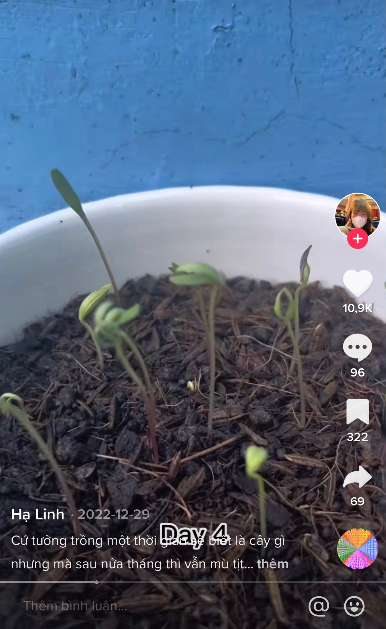 Trào lưu còn lấn sân sang cả TikTok với lượt tham gia lớn