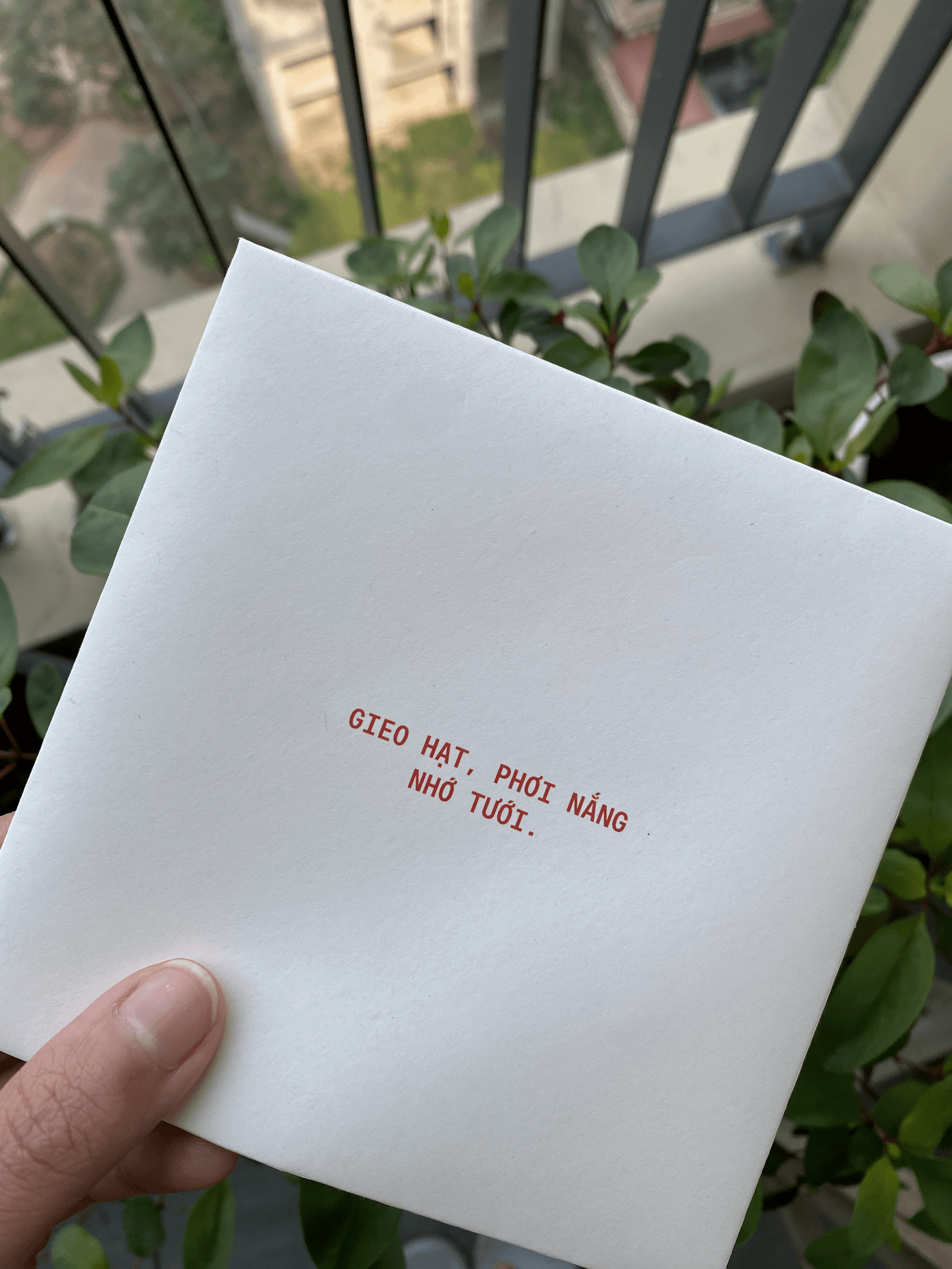 "Gieo hạt, phơi nắng, nhớ tưới" là thông điệp nhóm gửi tới người hâm mộ