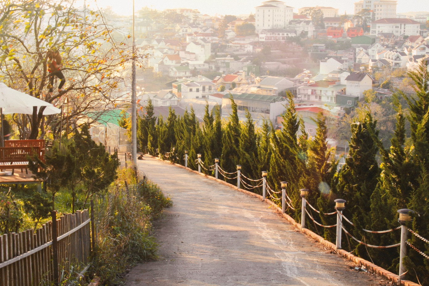 Con dốc tại Đà Lạt Con dốc tại Đà Lạt