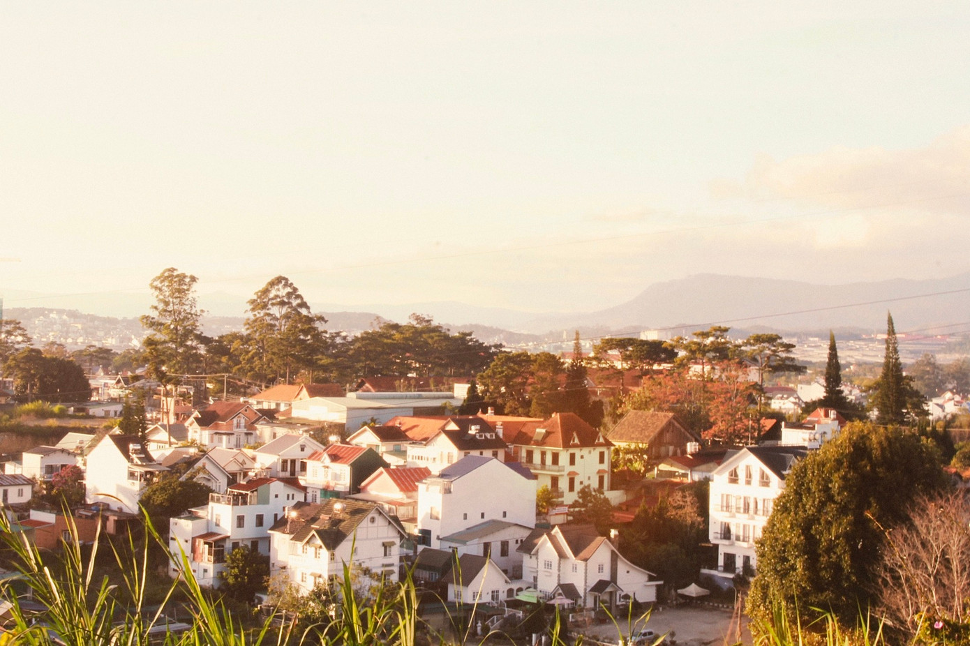 Chuyến đi một mình ghi lại cảnh sắc Đà Lạt đẹp như tranh Chuyến đi một mình ghi lại cảnh sắc Đà Lạt đẹp như tranh