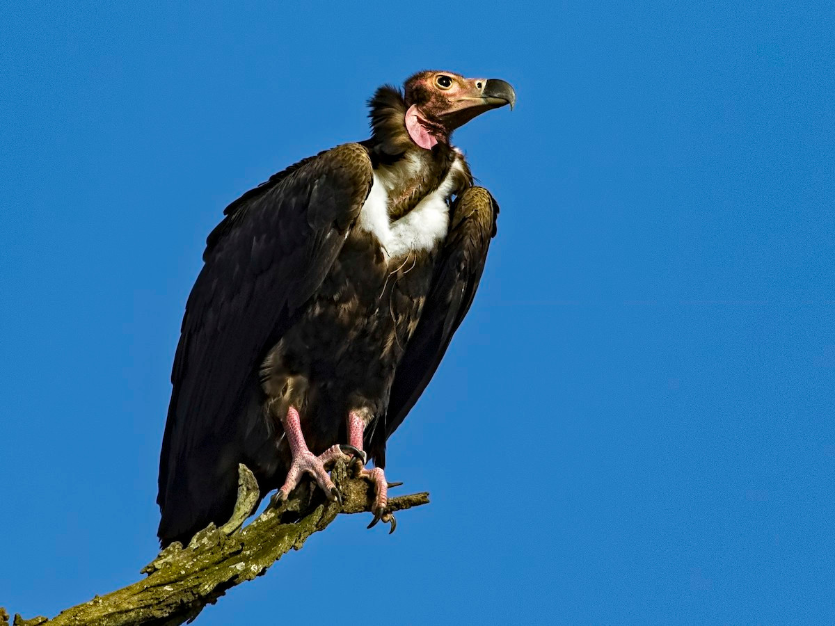 "Liêm" đến thế mà vẫn bị gán ghép, vẻ bề ngoài quan trọng như thế sao? "Liêm" đến thế mà vẫn bị gán ghép, vẻ bề ngoài quan trọng như thế sao?
