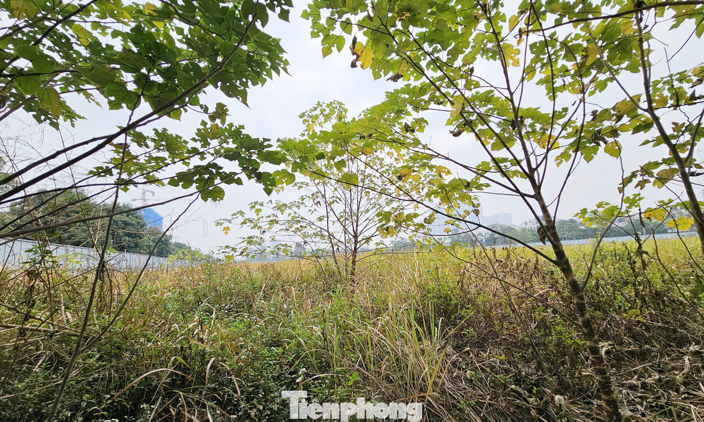 Trong khi đó, nhiều ô đất tại khu đô thị Starlake Tây Hồ Tây vẫn là bãi đất trống, chưa có dấu hiệu thi công xây dựng.