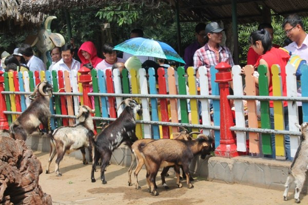 Du khách đổ xô tới Thảo Cẩm Viên vào mùng 3 Tết ảnh 9