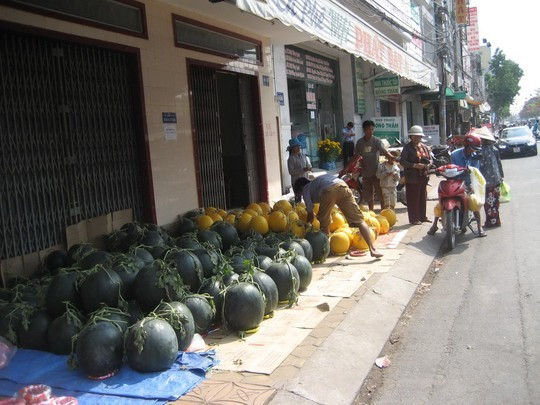 Mai ế cận Tết, thương lái chuyển sang cho thuê ảnh 3