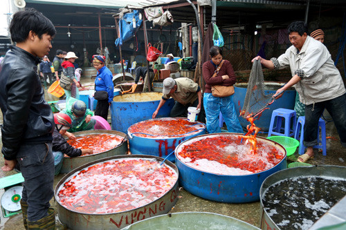 Đón Tết ông Công ông Táo, đại sứ Mỹ thả cá ở Hồ Tây ảnh 9