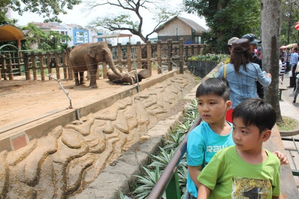 Du khách đổ xô tới Thảo Cẩm Viên vào mùng 3 Tết ảnh 12