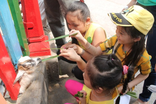 Du khách đổ xô tới Thảo Cẩm Viên vào mùng 3 Tết ảnh 11